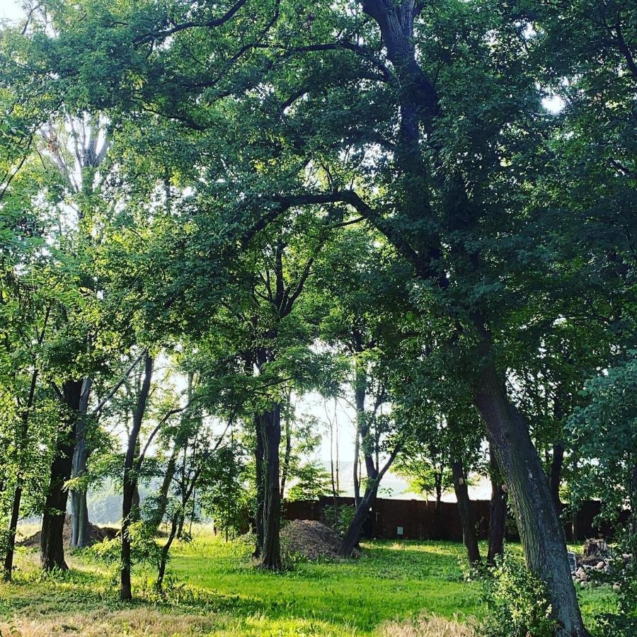 Palac Osowo Gostynskie Esterno foto