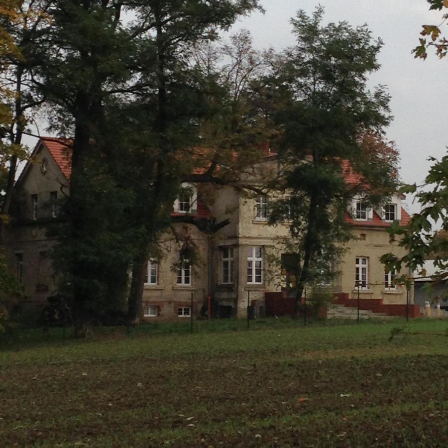 Palac Osowo Gostynskie Esterno foto