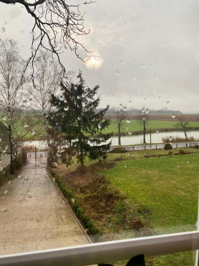 Palac Osowo Gostynskie Esterno foto