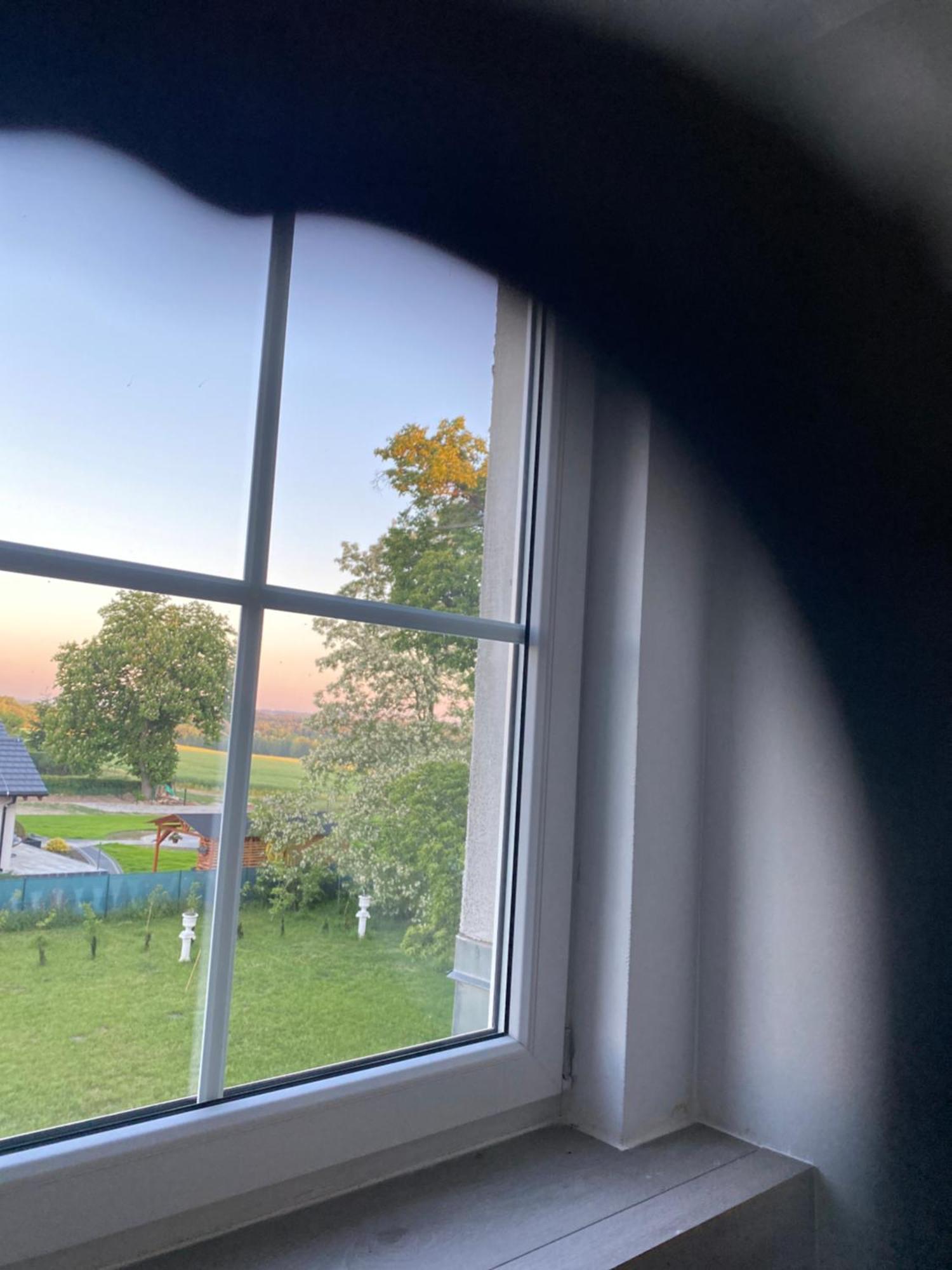 Palac Osowo Gostynskie Esterno foto